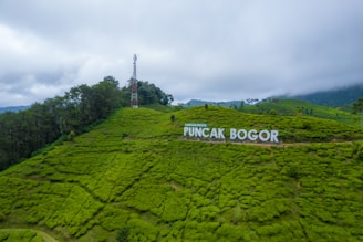 a large green hill with a sign on it