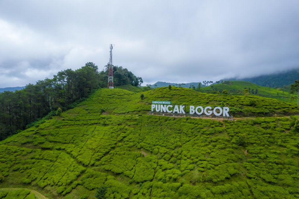 a large green hill with a sign on it