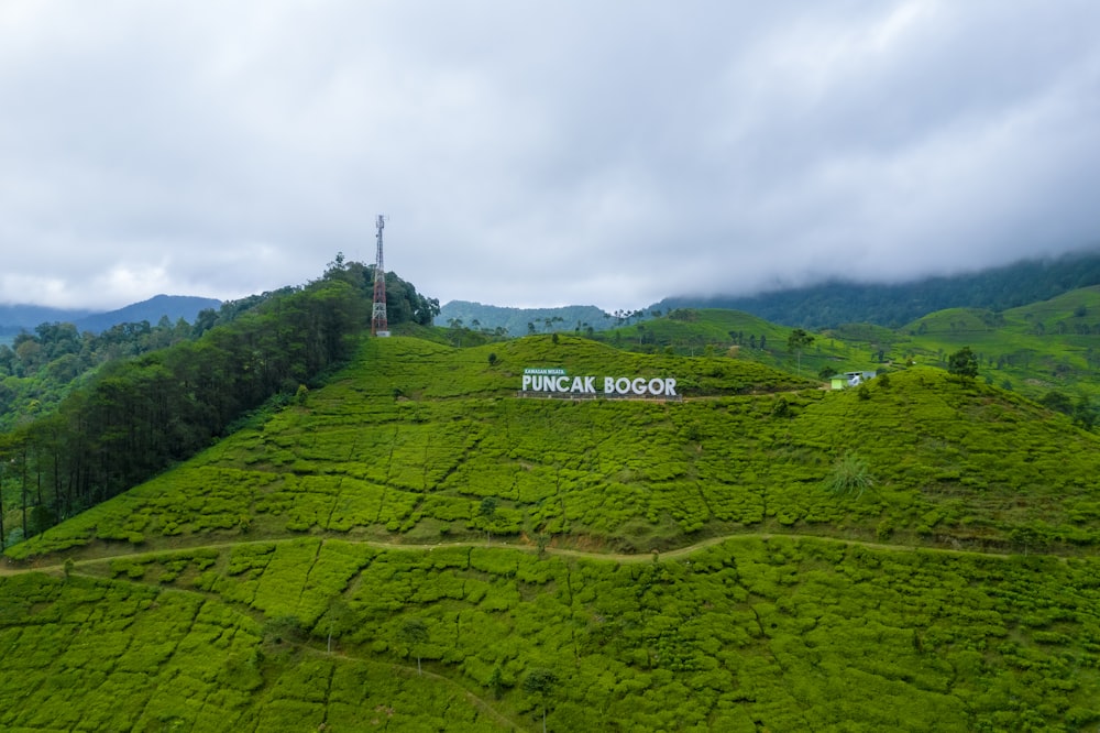 a green valley with a sign