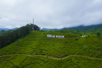 a green valley with a sign