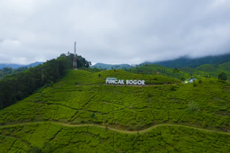 a green valley with a sign