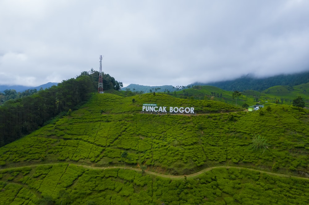 a green valley with a sign