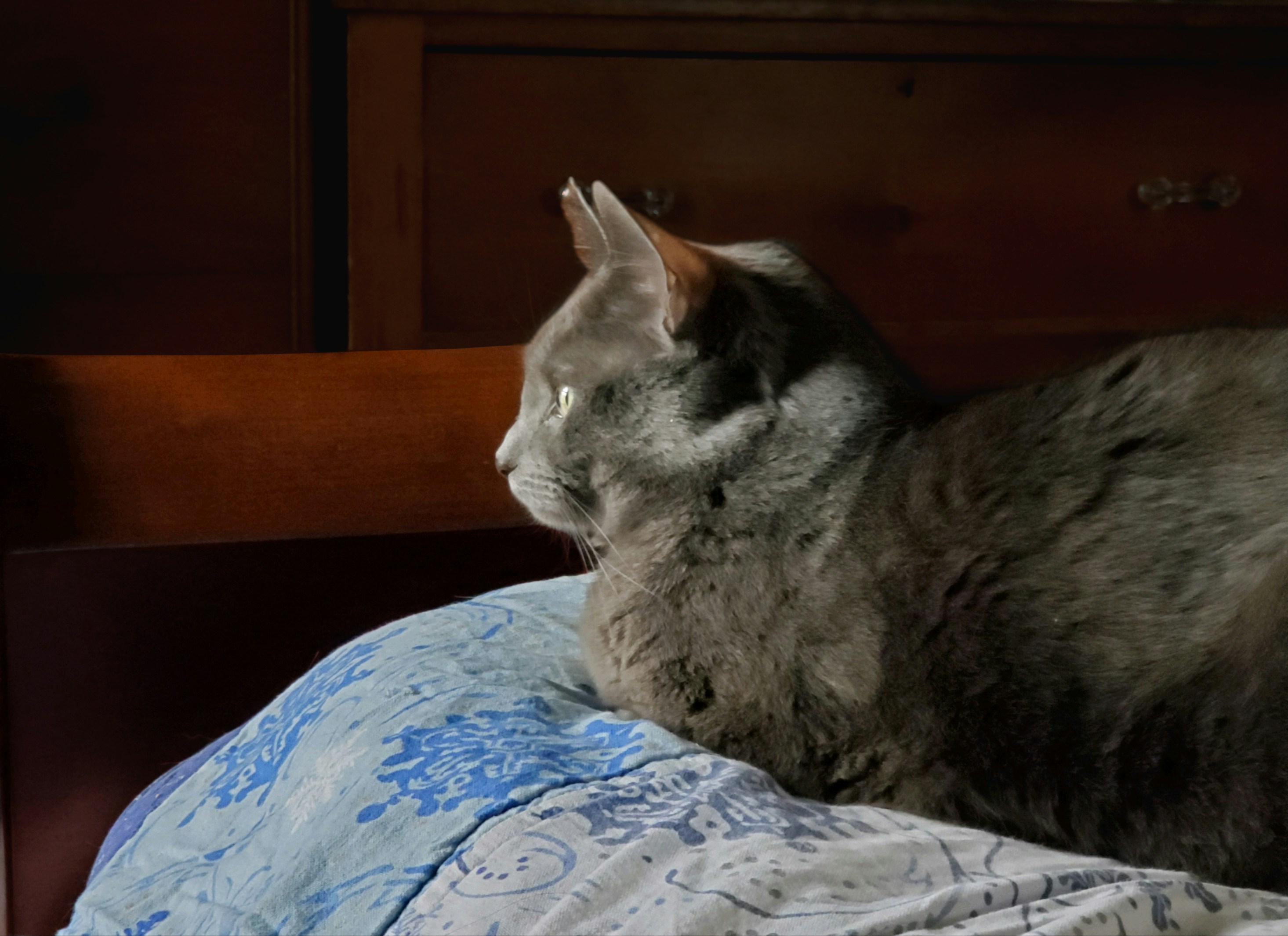 Personal Space and Independence (image credits: unsplash)