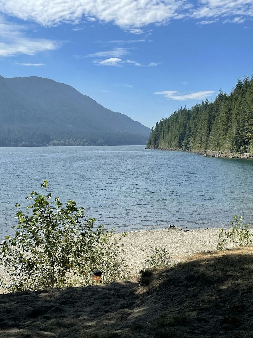 a body of water with trees and mountains in the background