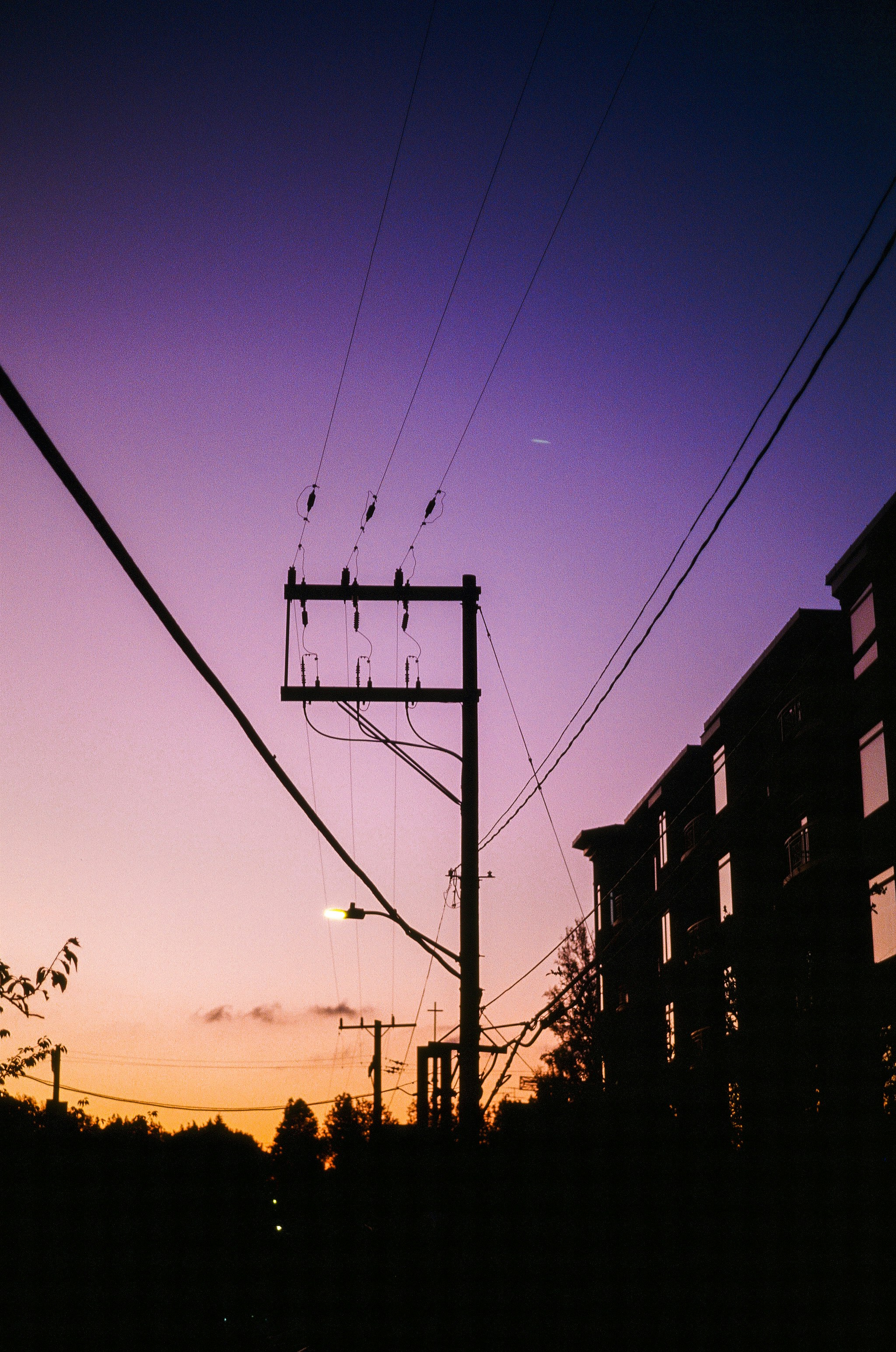 Photo by davidschultz