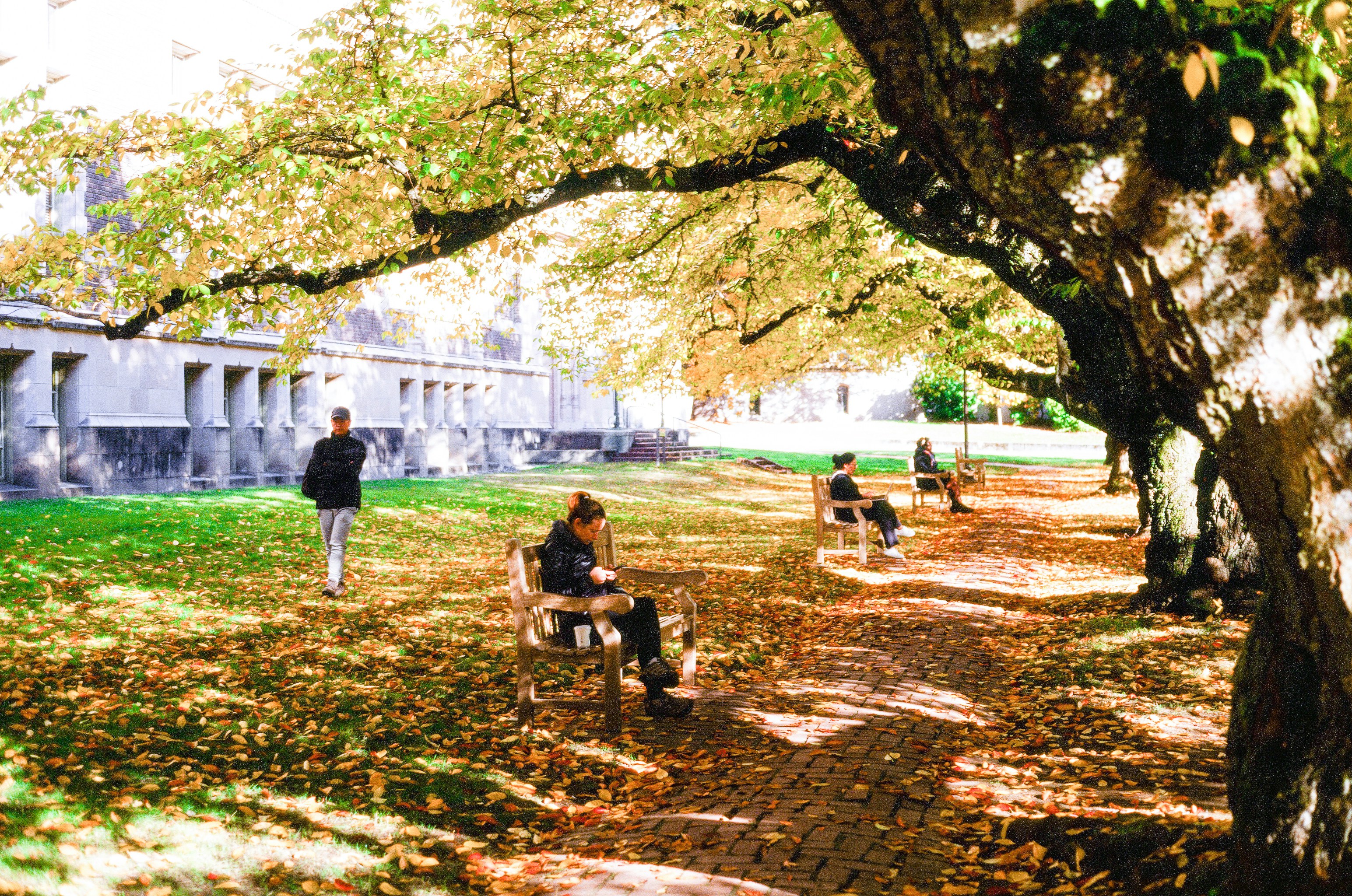 Photo by davidschultz