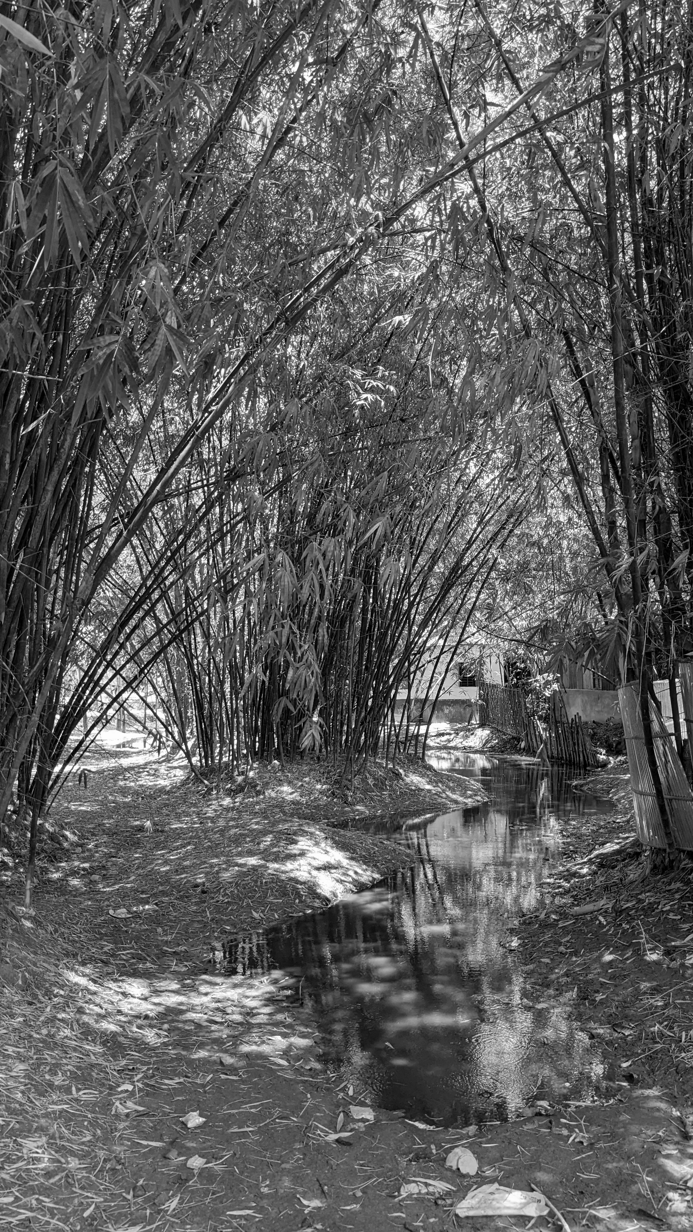 Photo by washif_ahmed