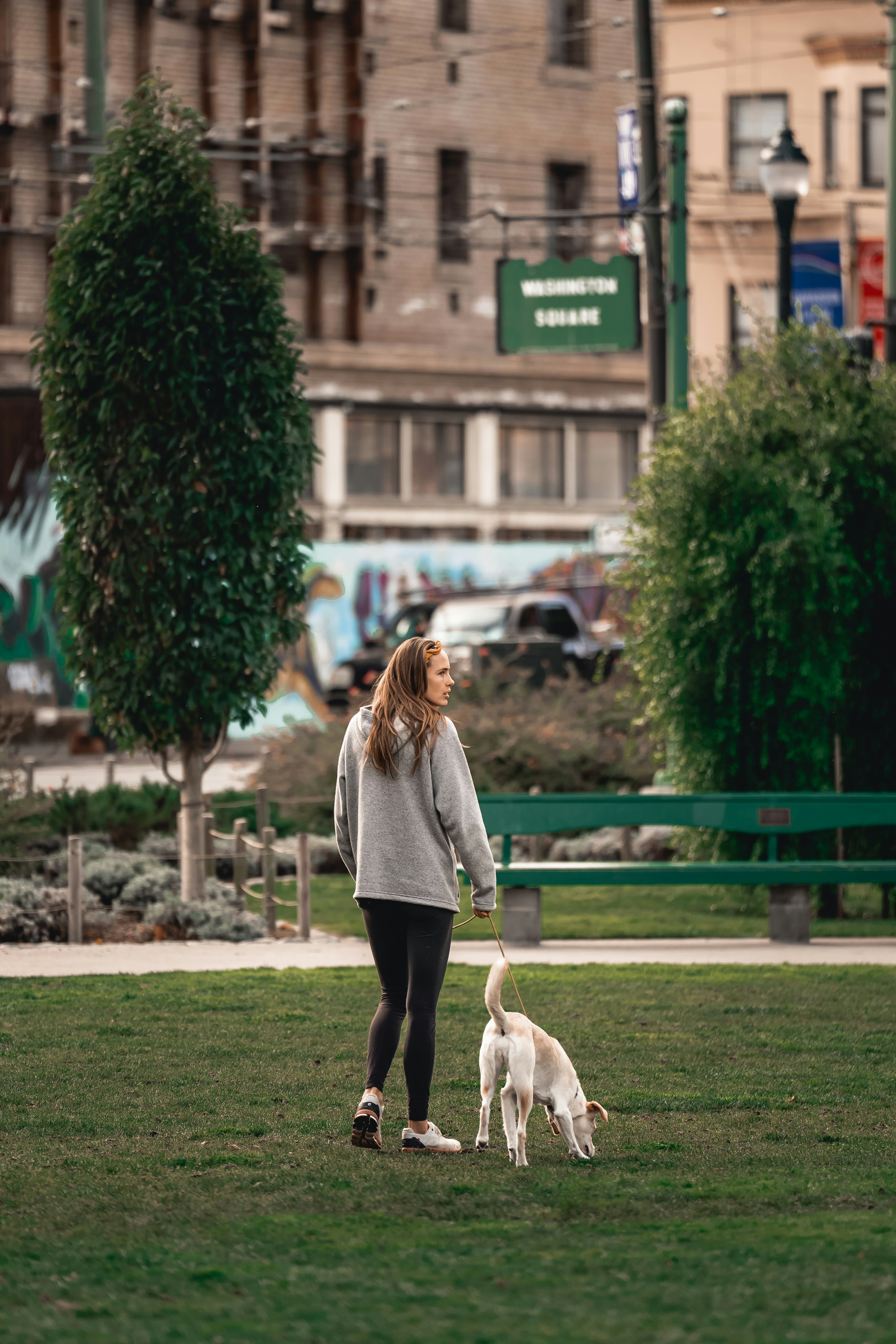 Photo by limamauro23