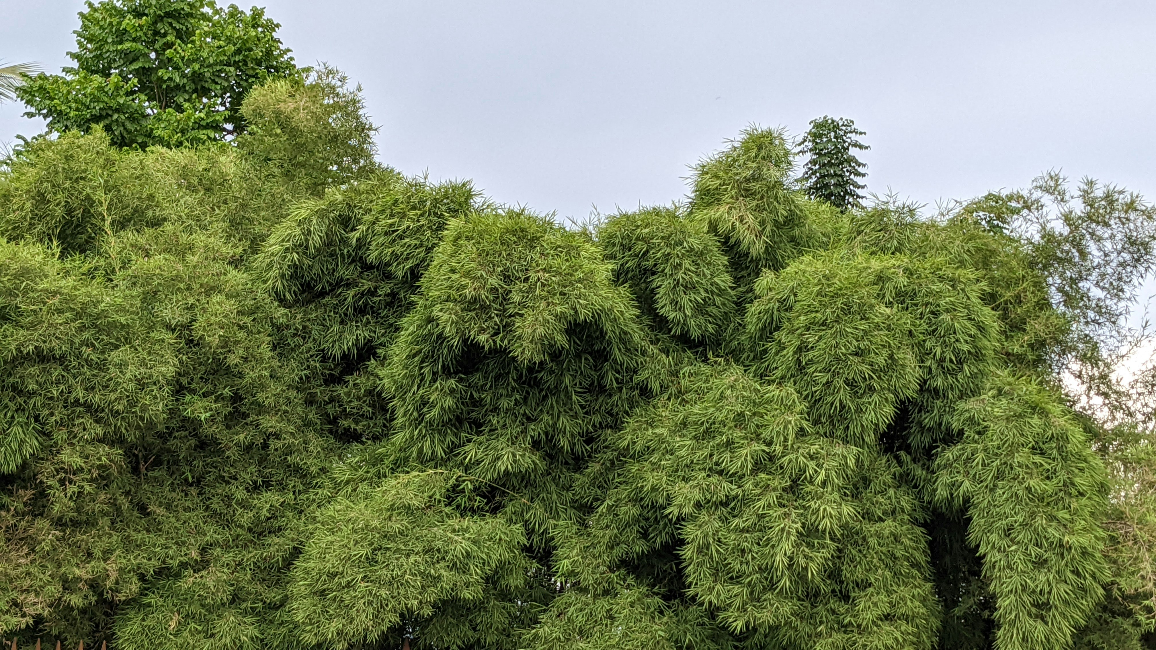 Photo by washif_ahmed