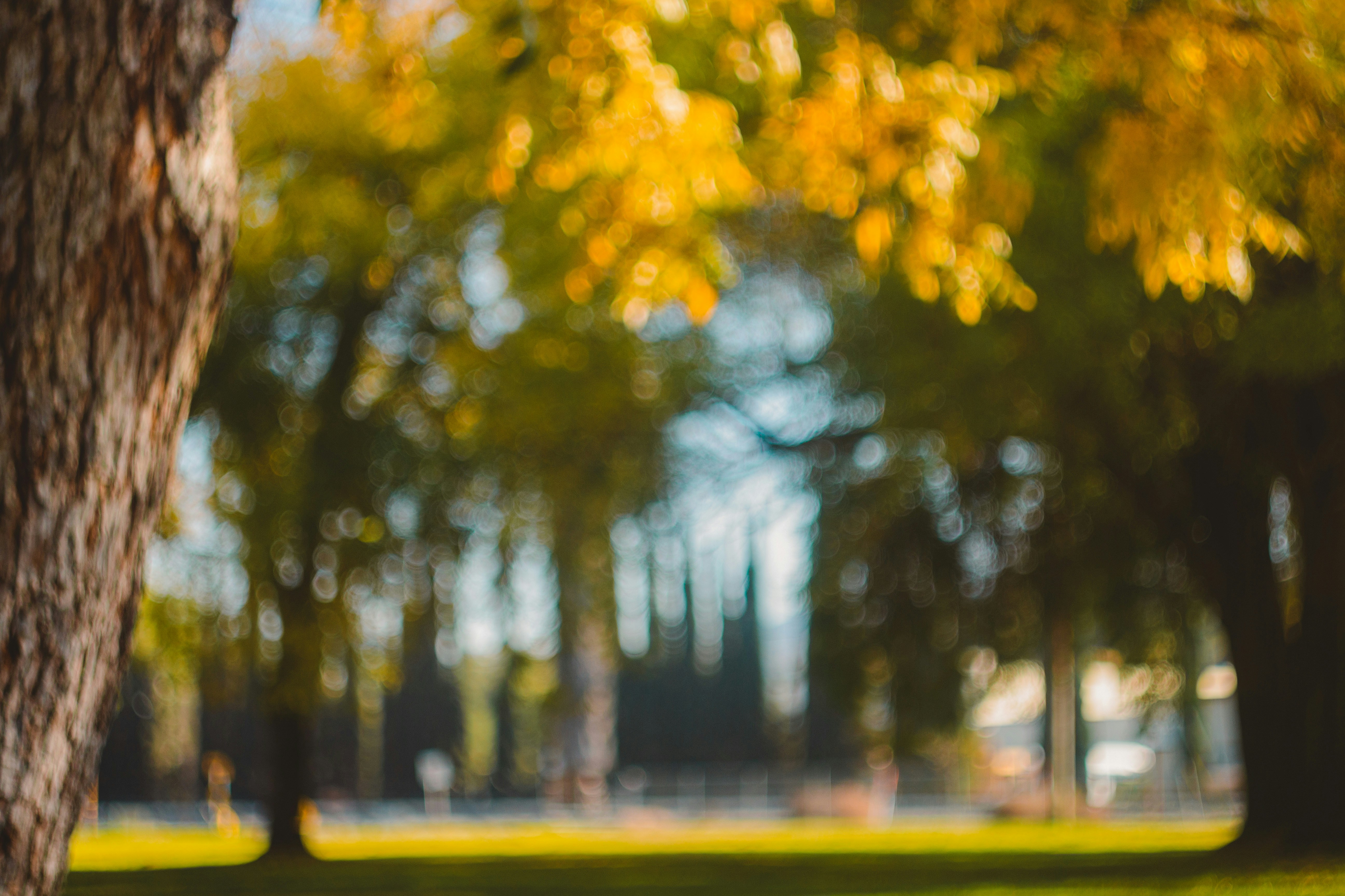 Photo by emmanuelphaeton