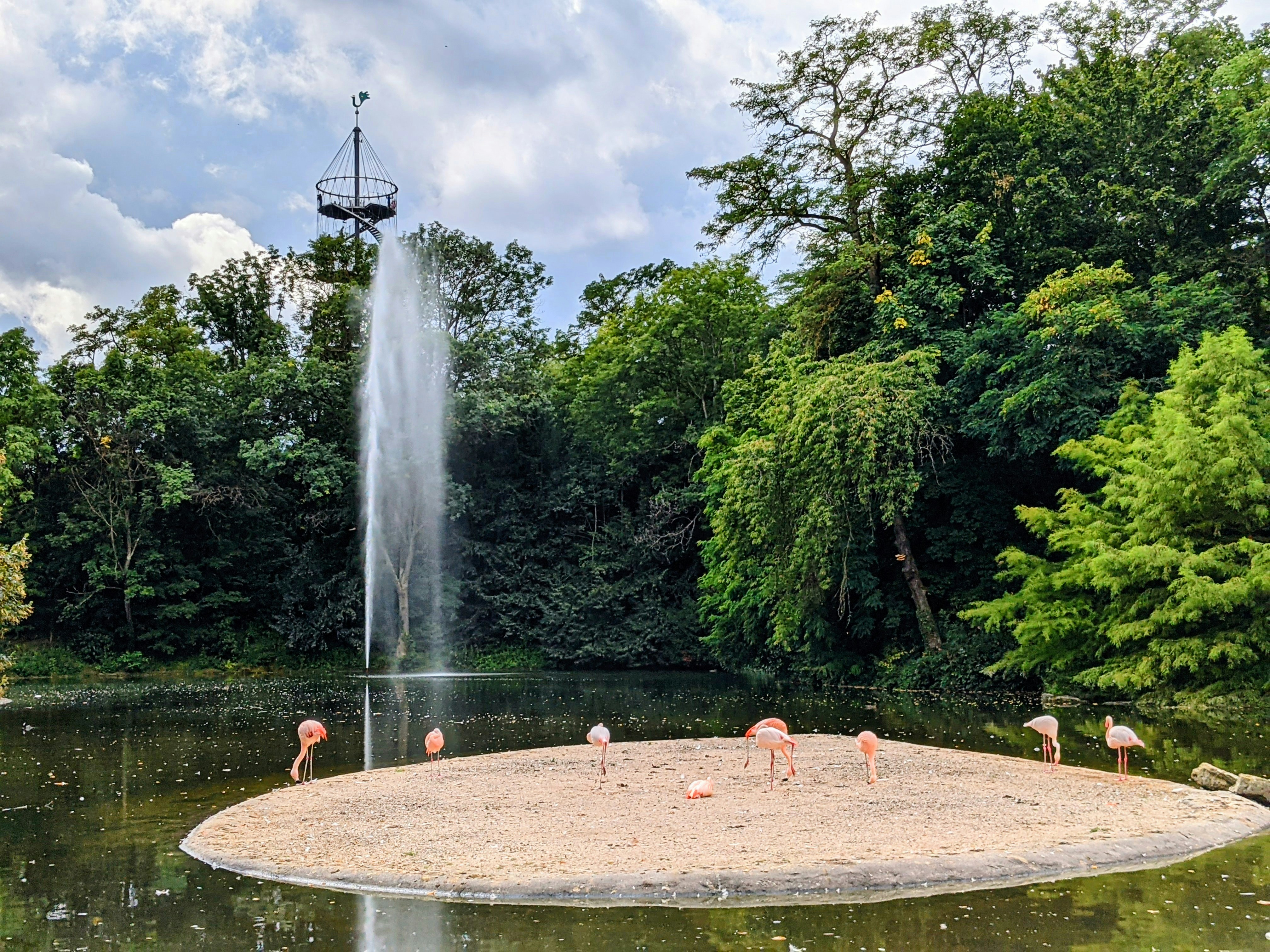 Flamingo Park