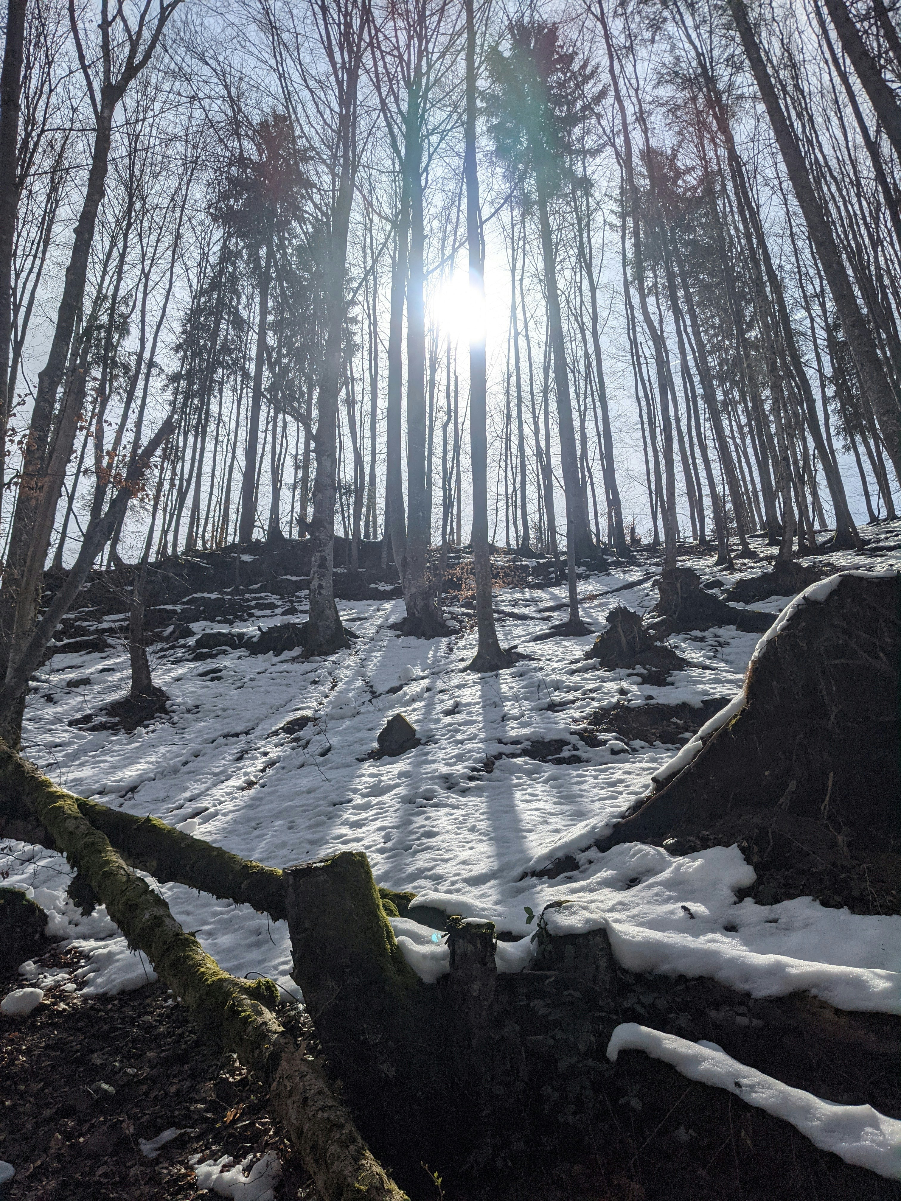 a stream with snow and trees