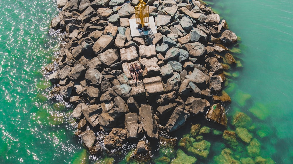 a group of people on a dock