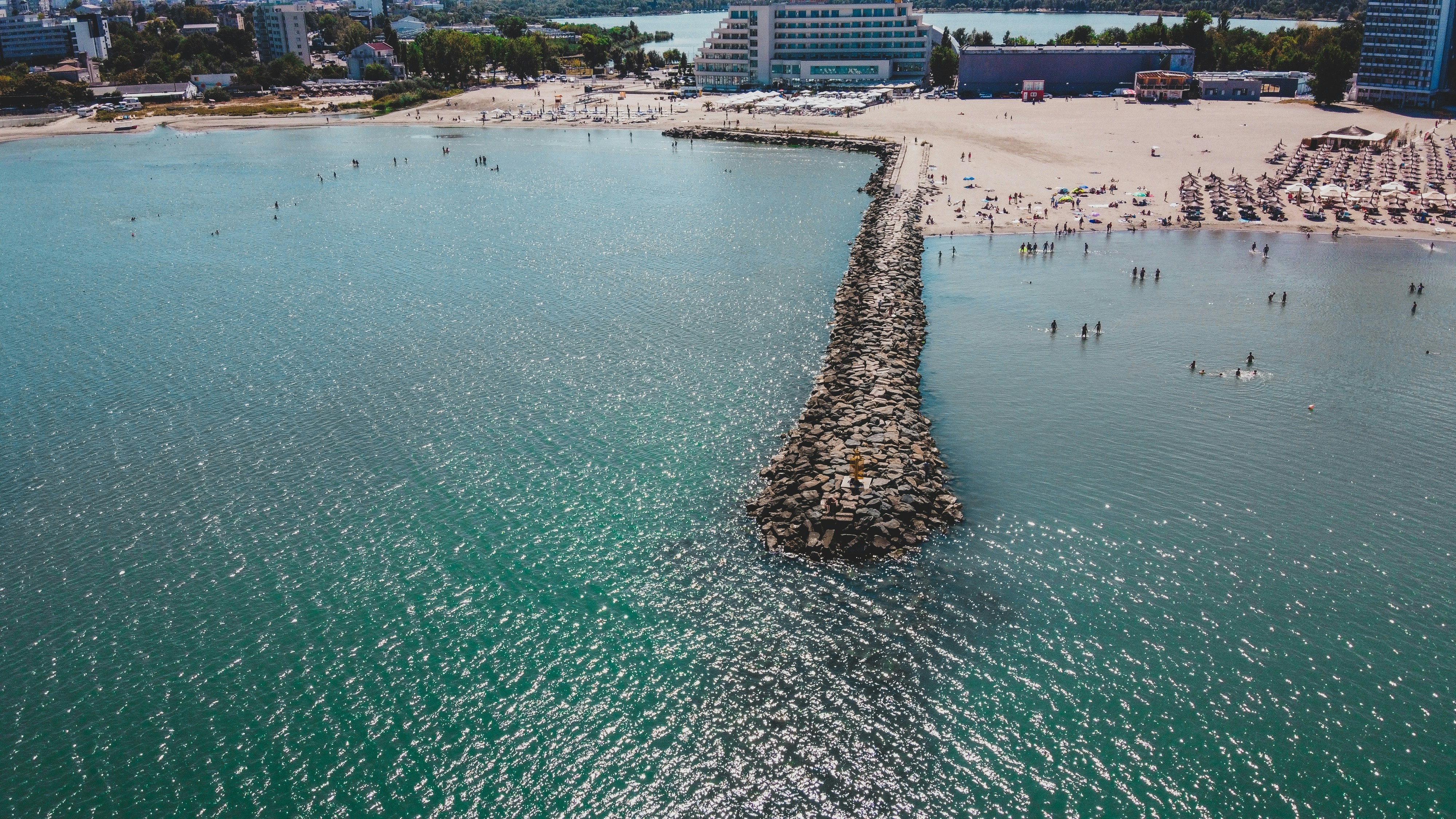 a beach with a large group of birds