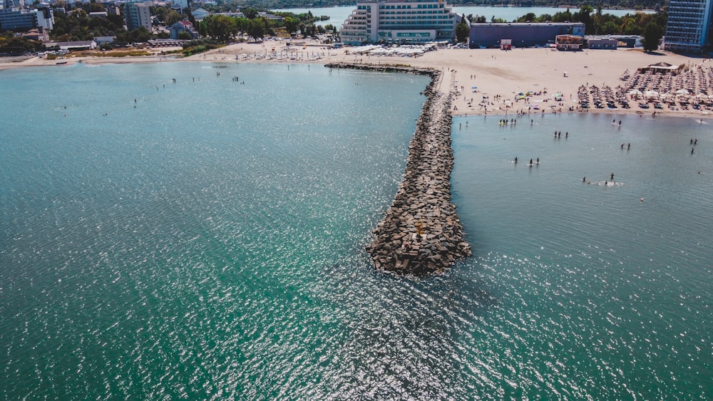 a beach with a large group of birds