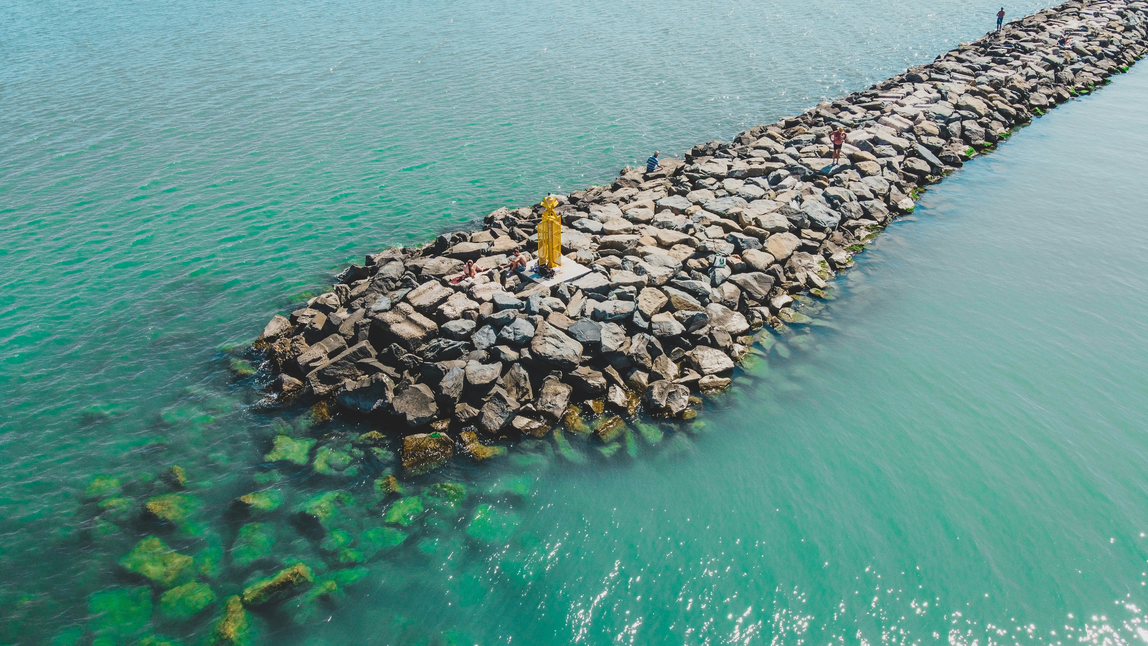 A well-designed shoreline protection project combining a robust bulkhead with a riprap toe and thriving native vegetation, demonstrating integrated solutions - Shoreline erosion protection