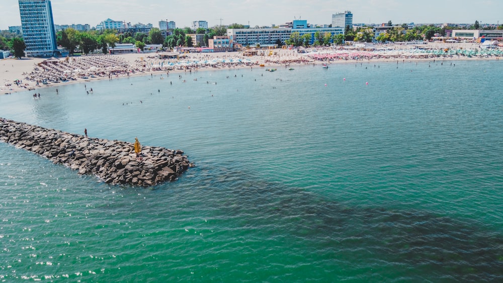 a beach with a large body of water and a large group of people