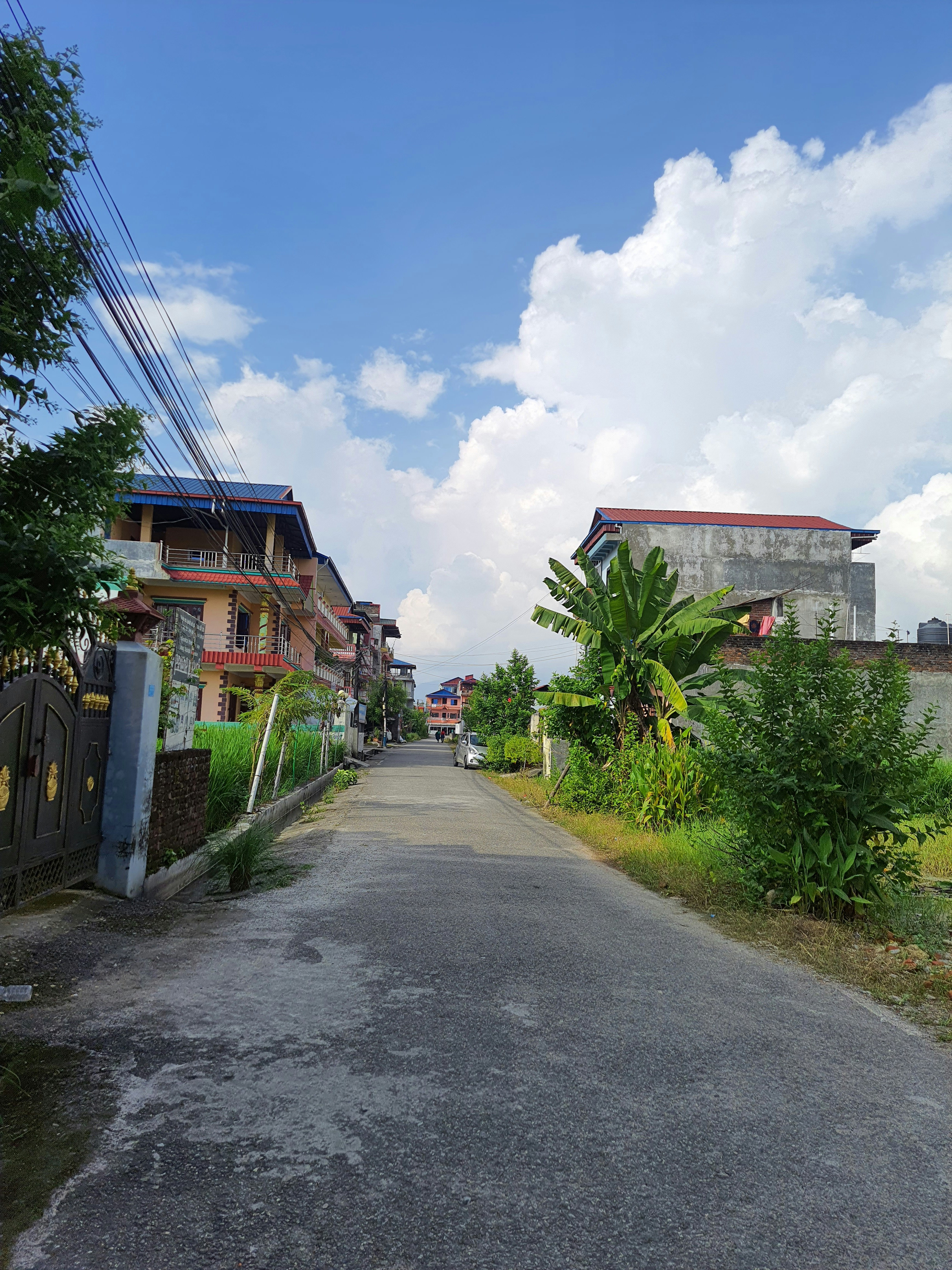 Local Properties for Sale