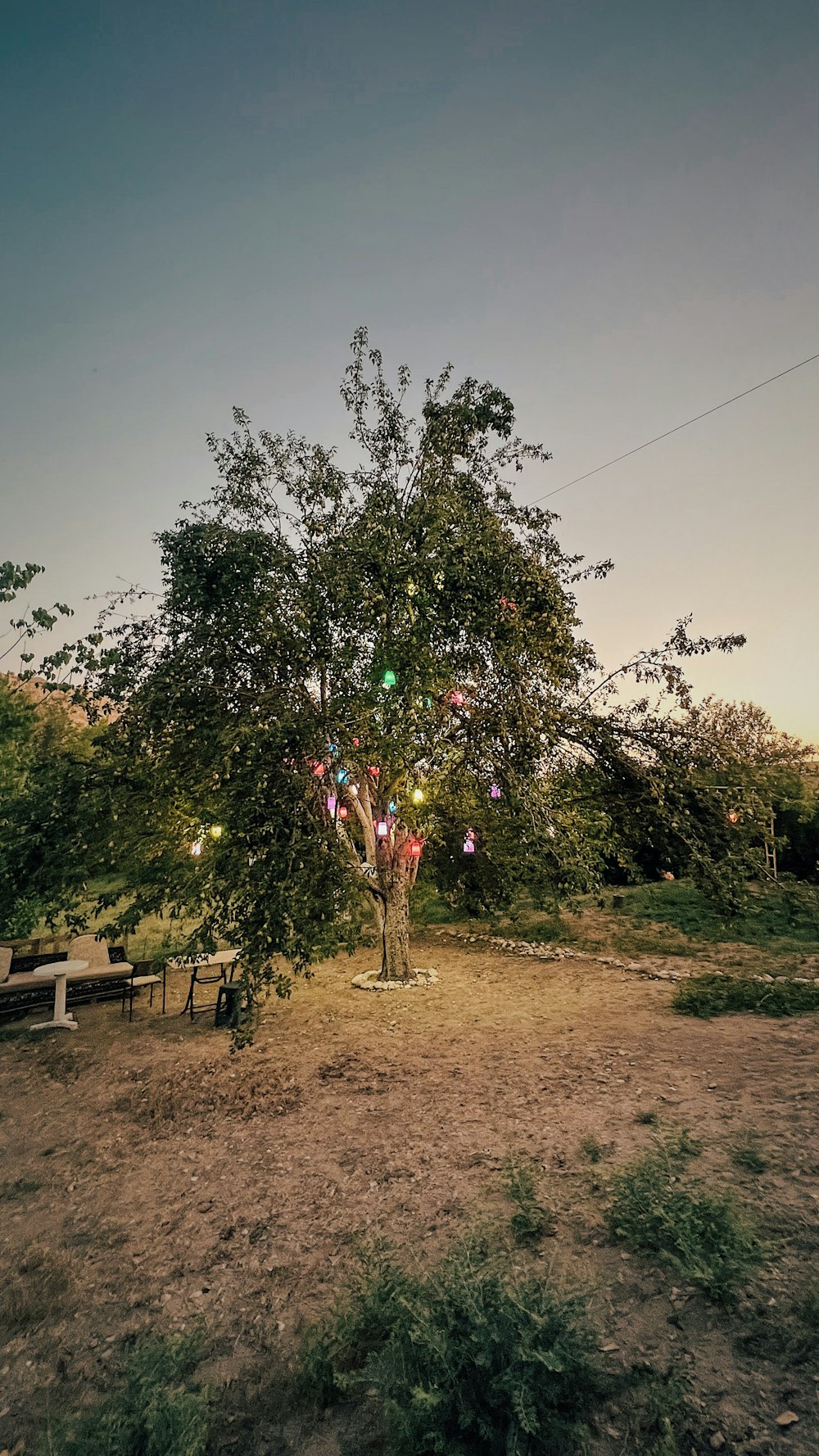 uma árvore com luzes sobre ela