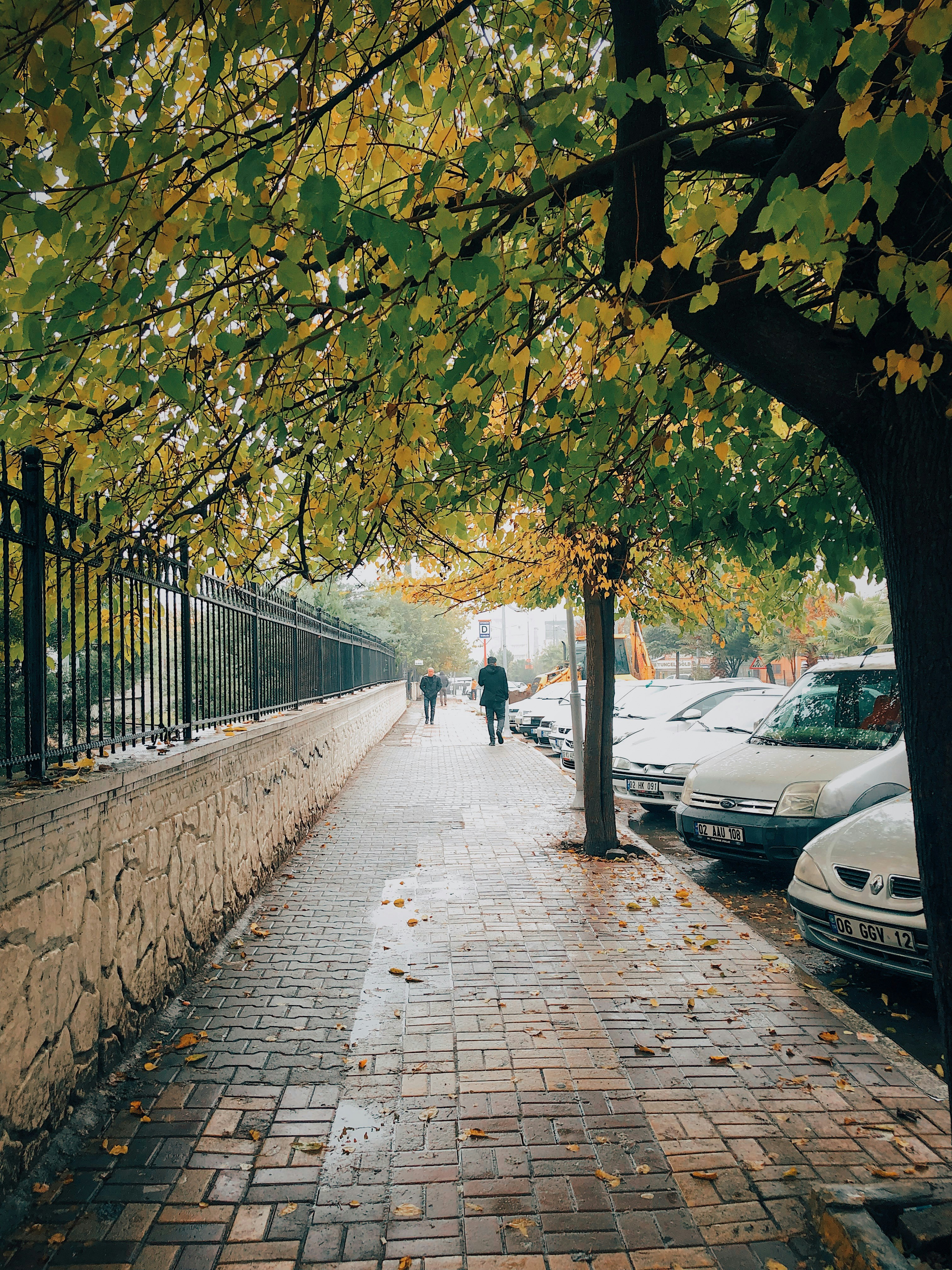 Photo by sserhattug