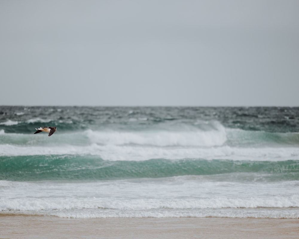 a person surfing on the waves