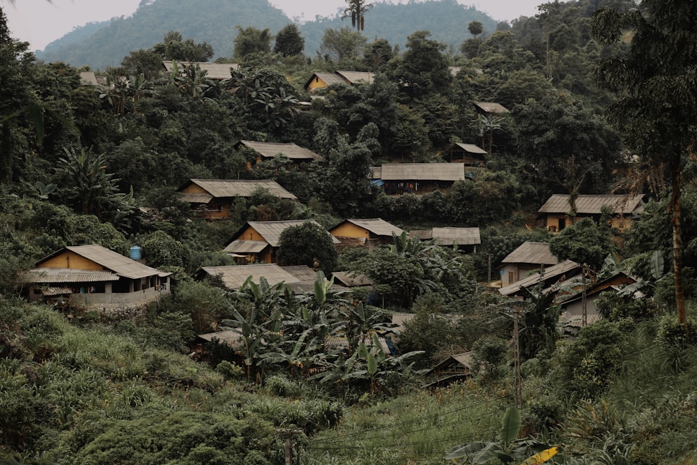 a group of houses in a wooded area