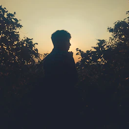 A moody shot of a focused fighter shadowboxing at dawn, framed by lush jungle foliage and soft golden light.