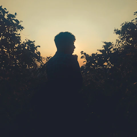 A moody shot of a focused fighter shadowboxing at dawn, framed by lush jungle foliage and soft golden light.