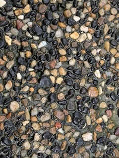 Close-up of a variety of colorful driveway gravel samples neatly arranged on a wooden table.