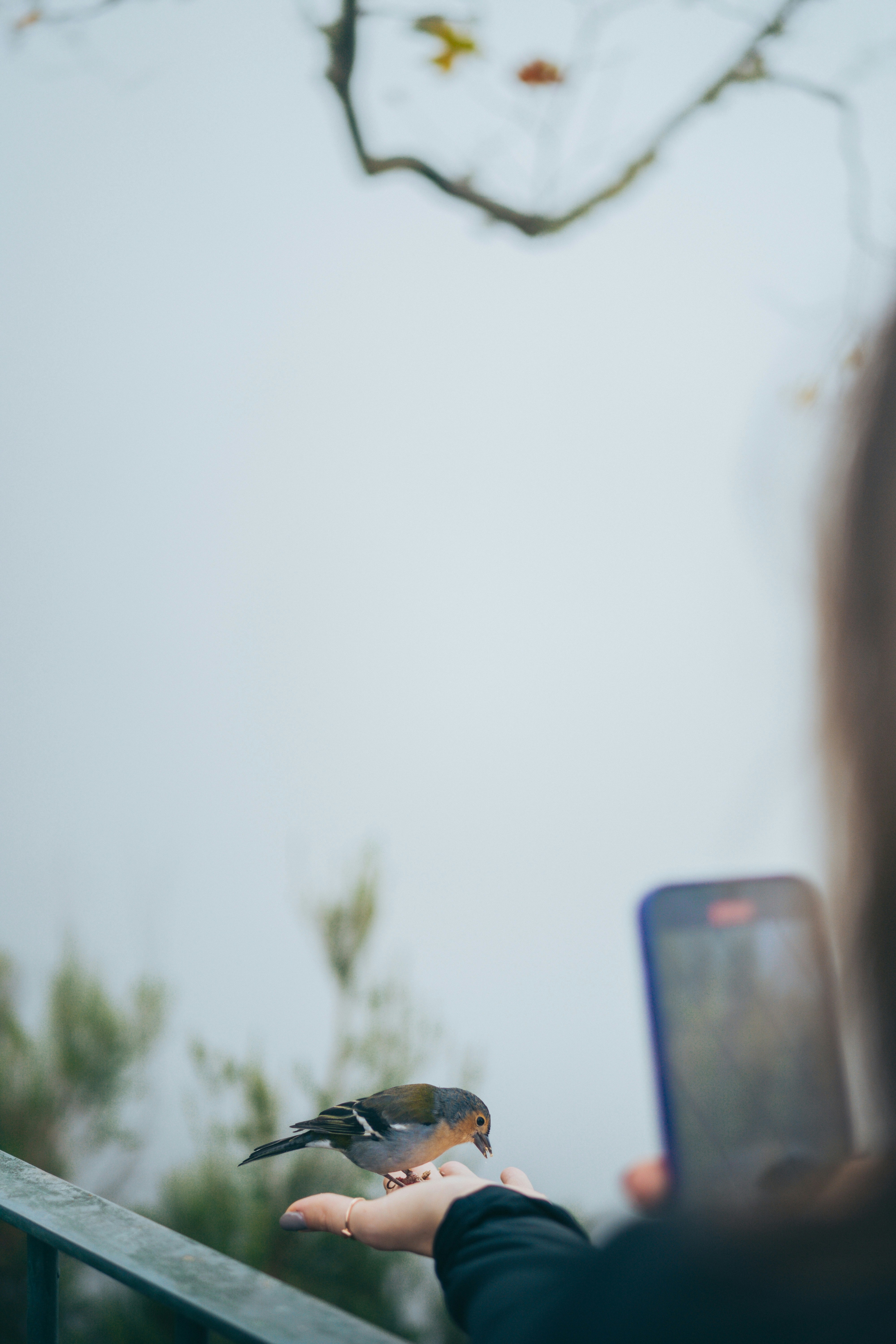 a person holding a bird