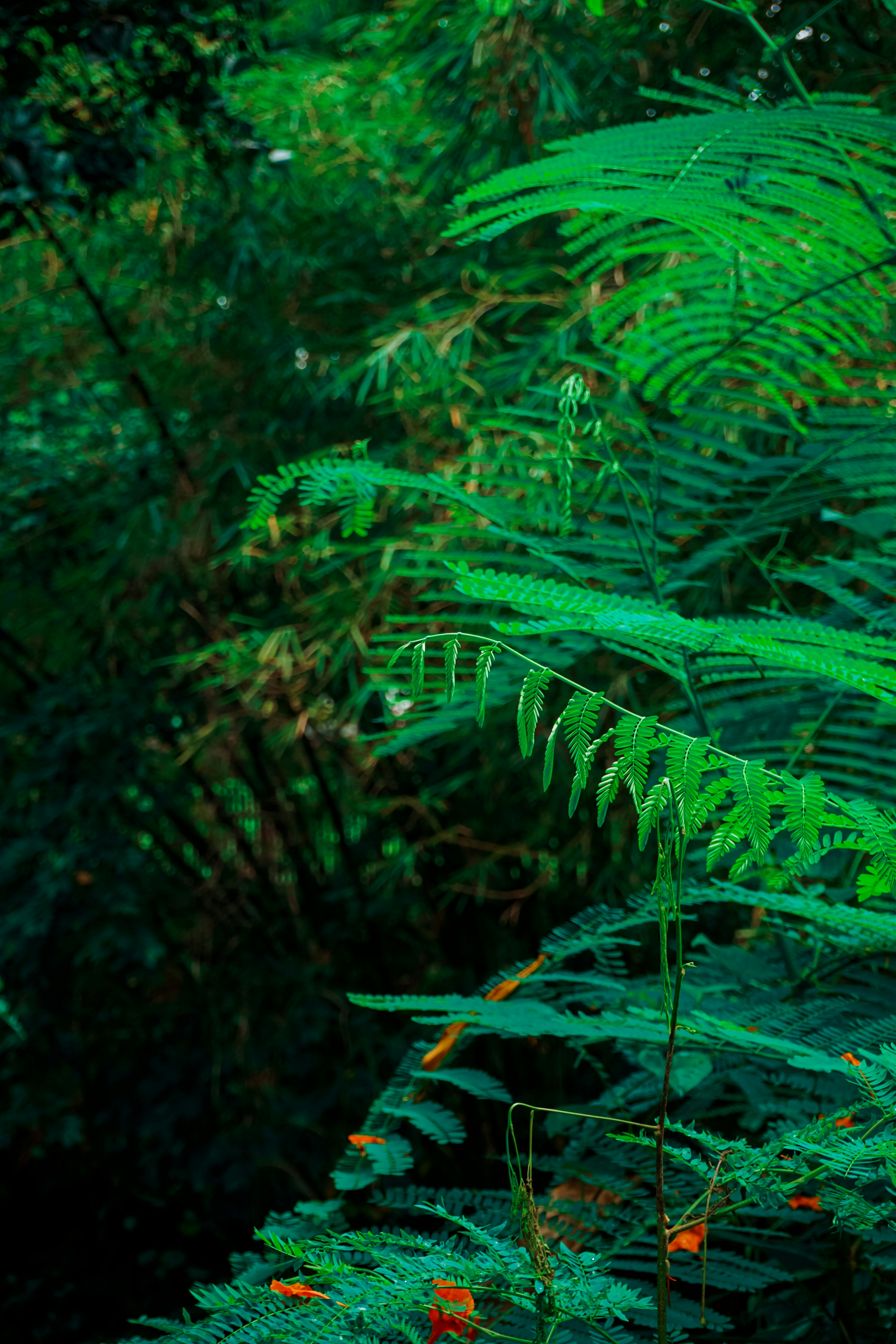 Photo by reidika_haris