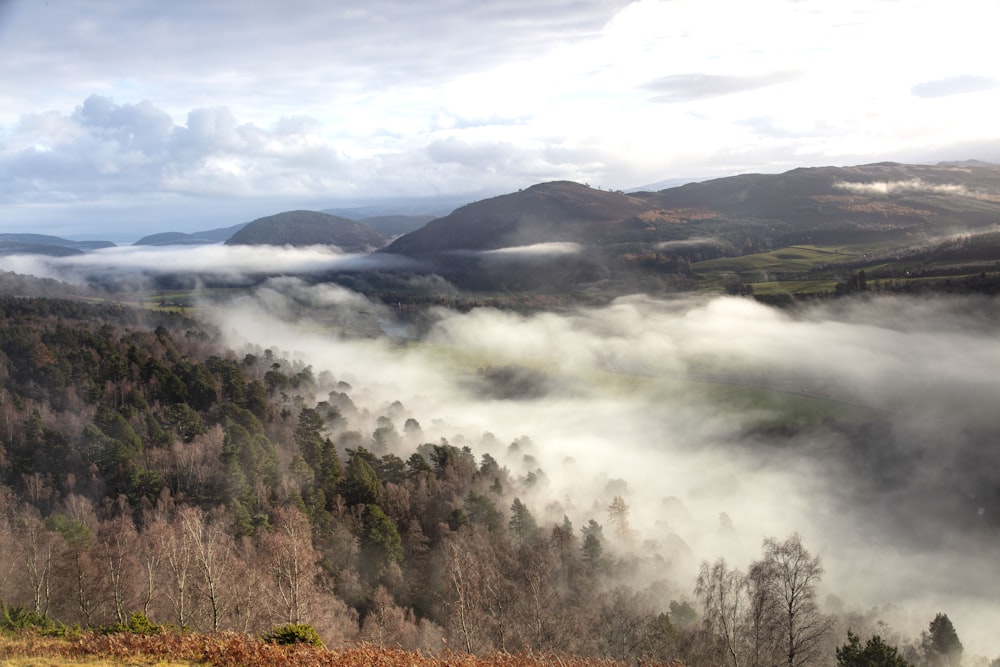 a foggy valley with trees and mountains in the background