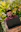 Man happily using a laptop outdoors with a bright background.