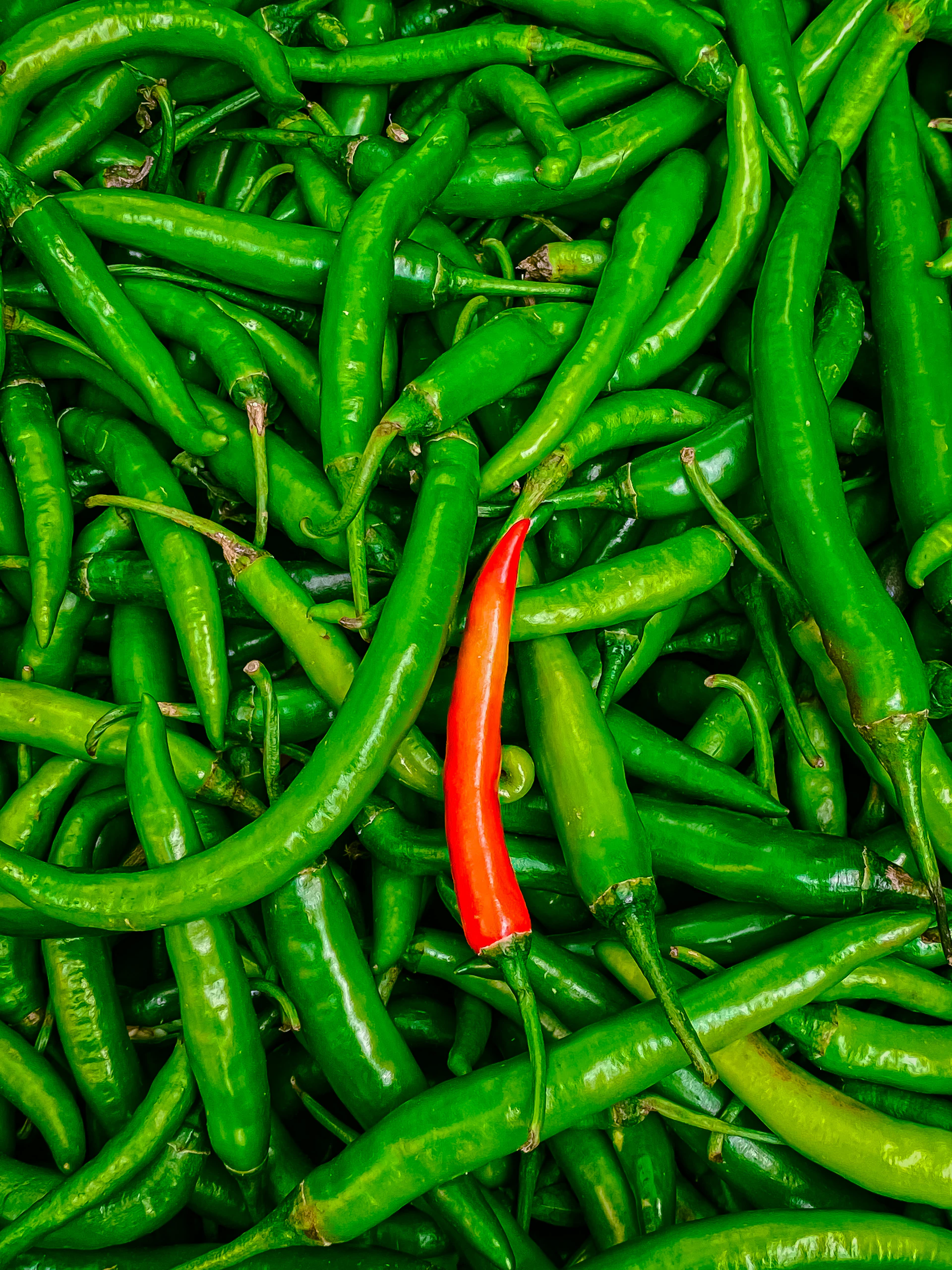 a pile of green beans