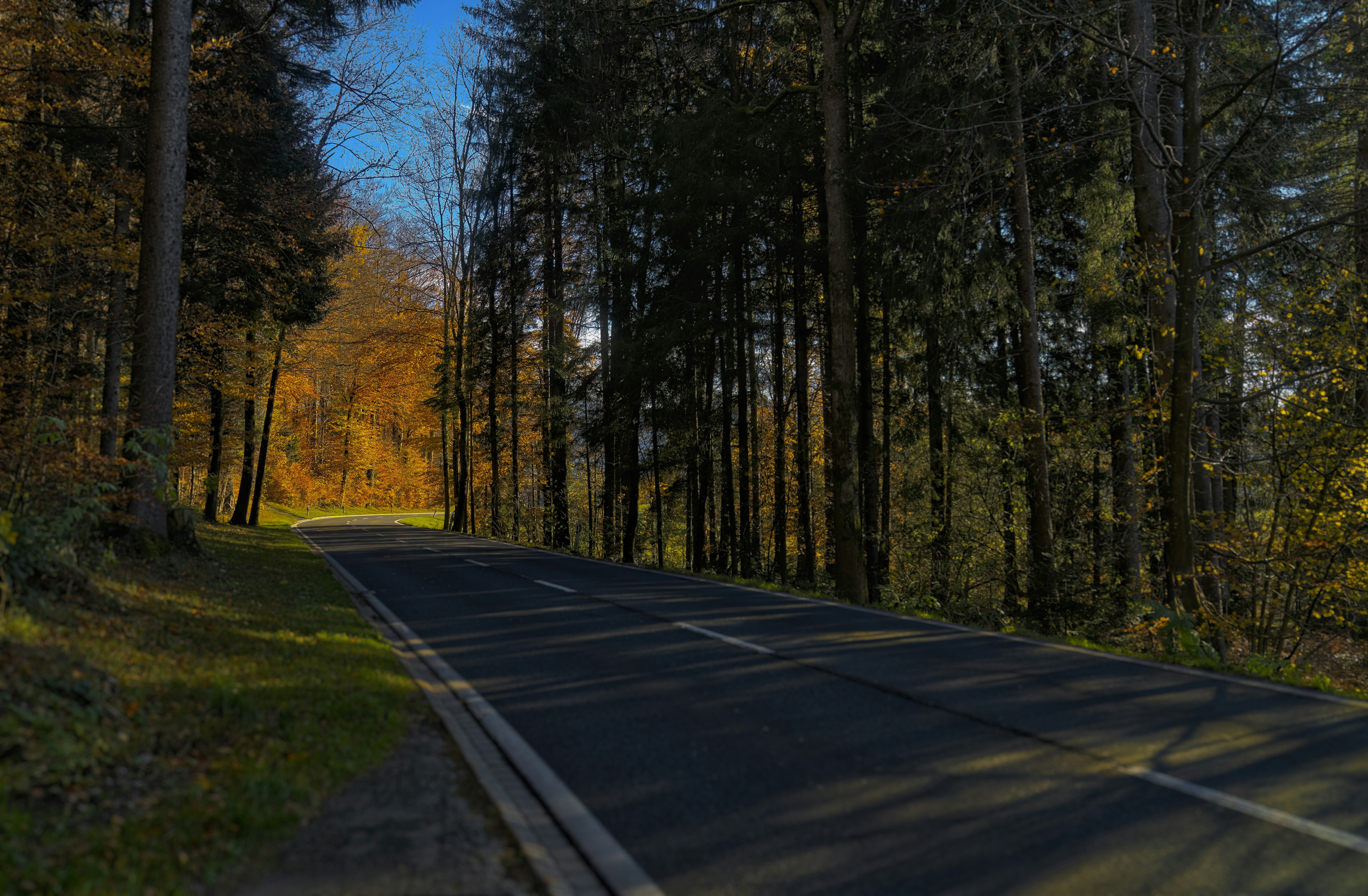 Photo by rgaleriacom