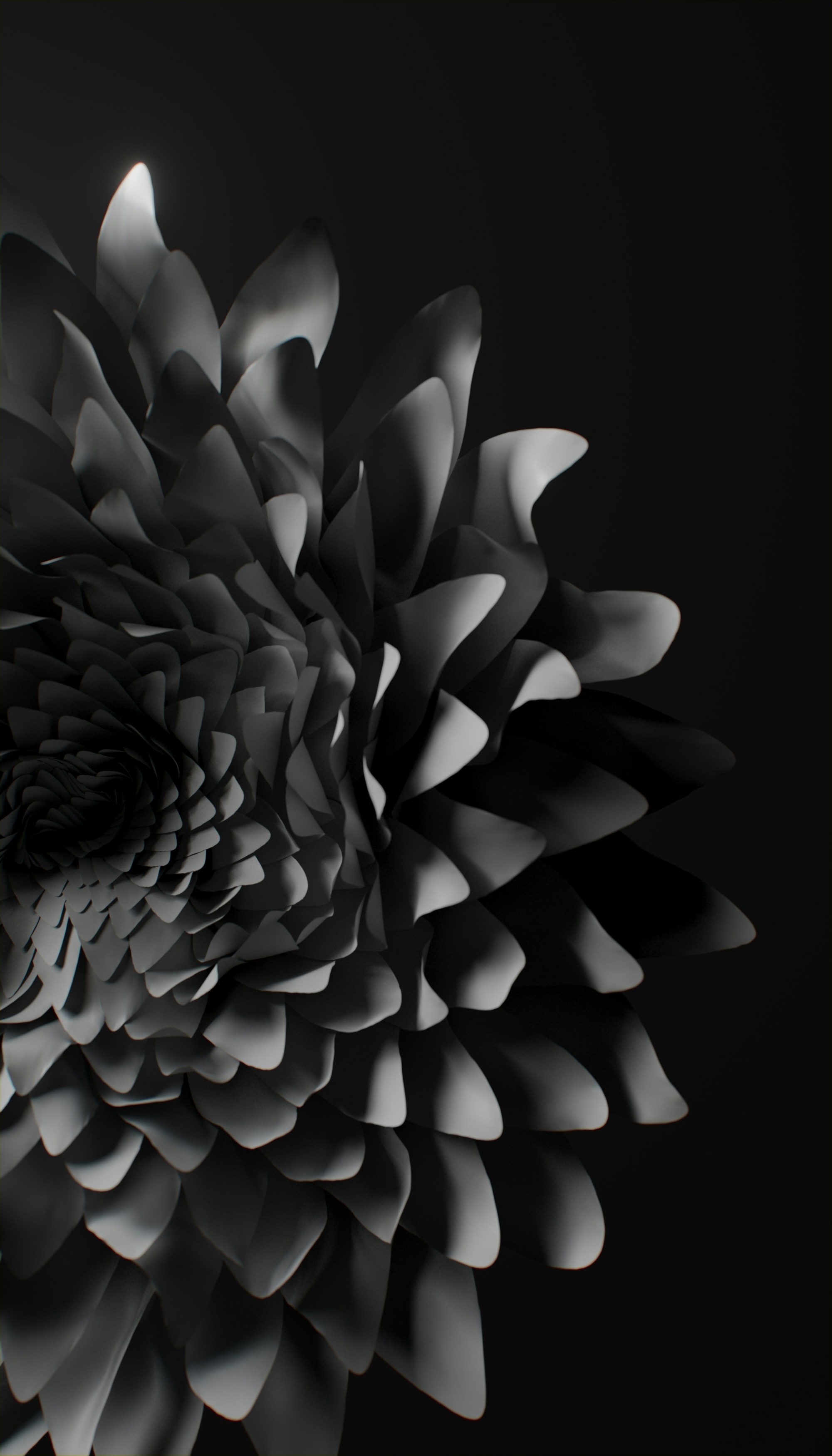 Photo by planetvolumes