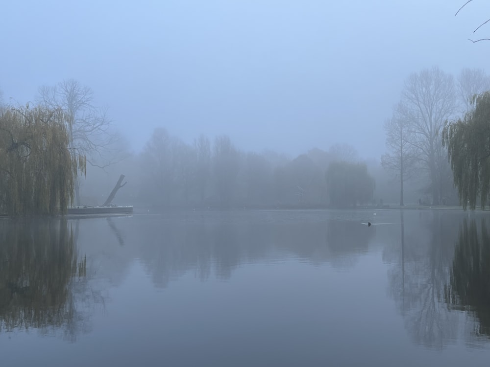 a lake with trees and fog