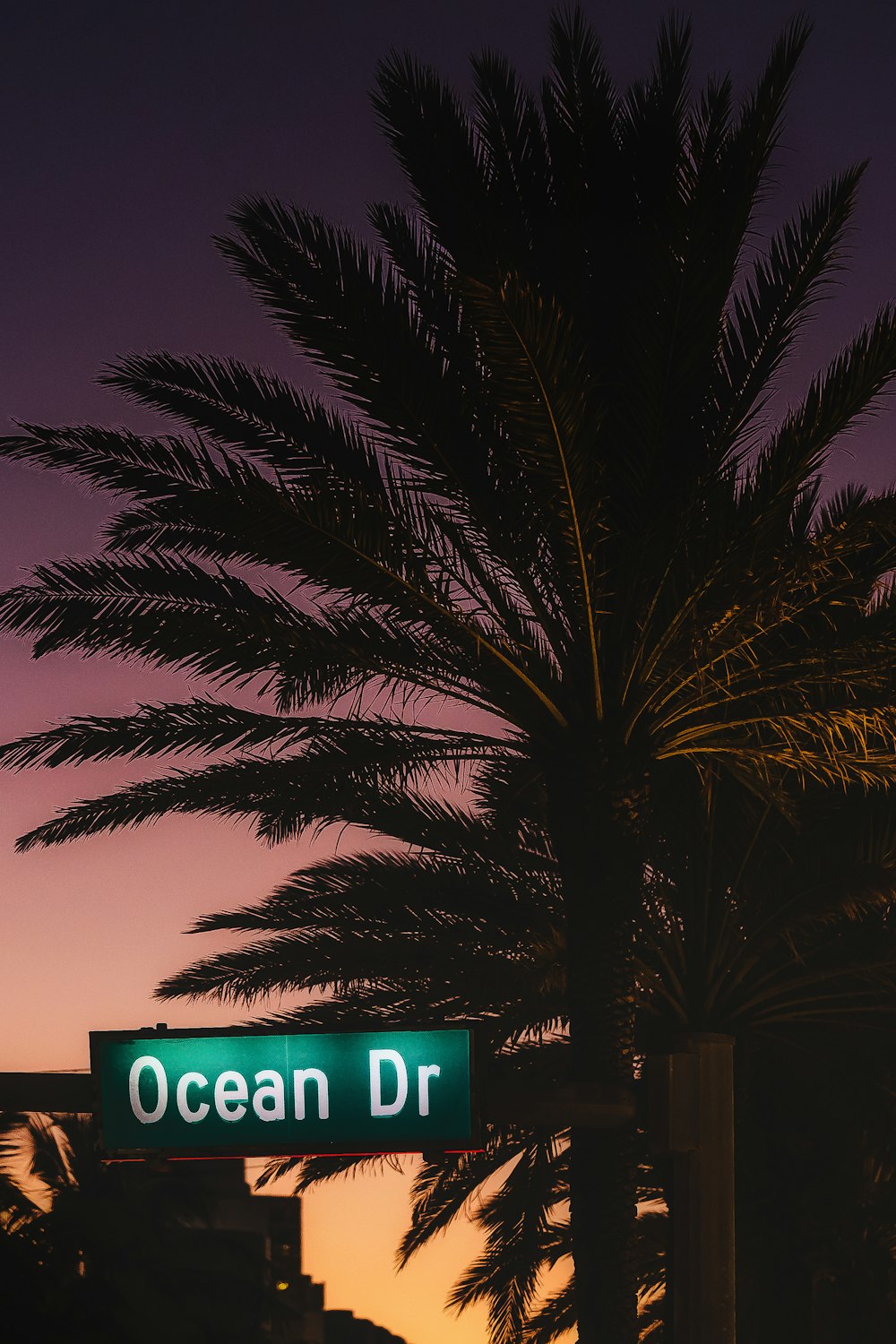 a street sign next to a palm tree