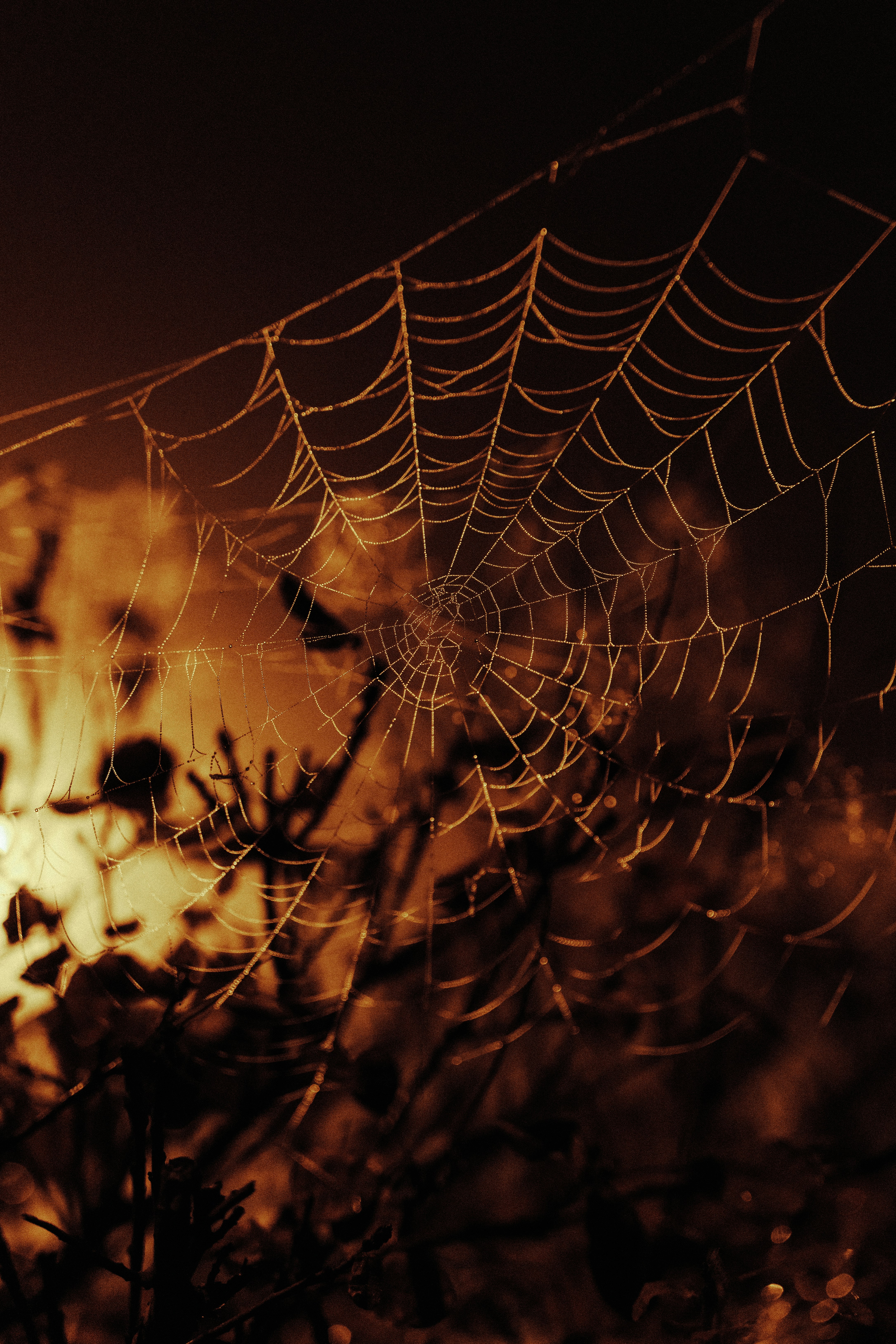 Photo by jonasjaekenmedia