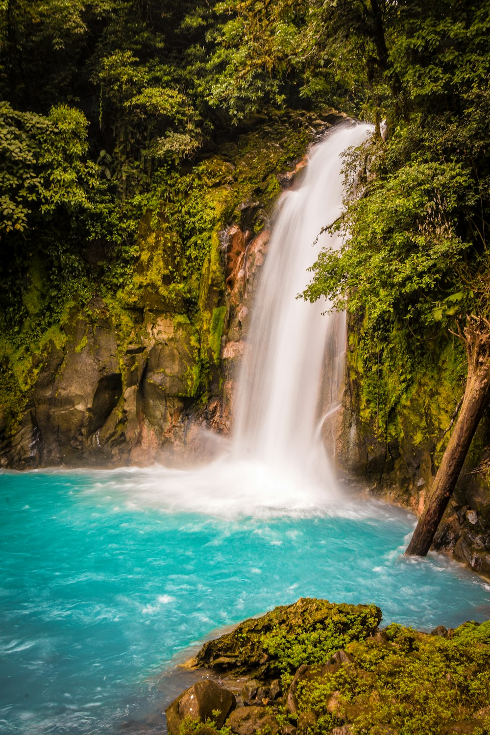 Celeste River in a forest