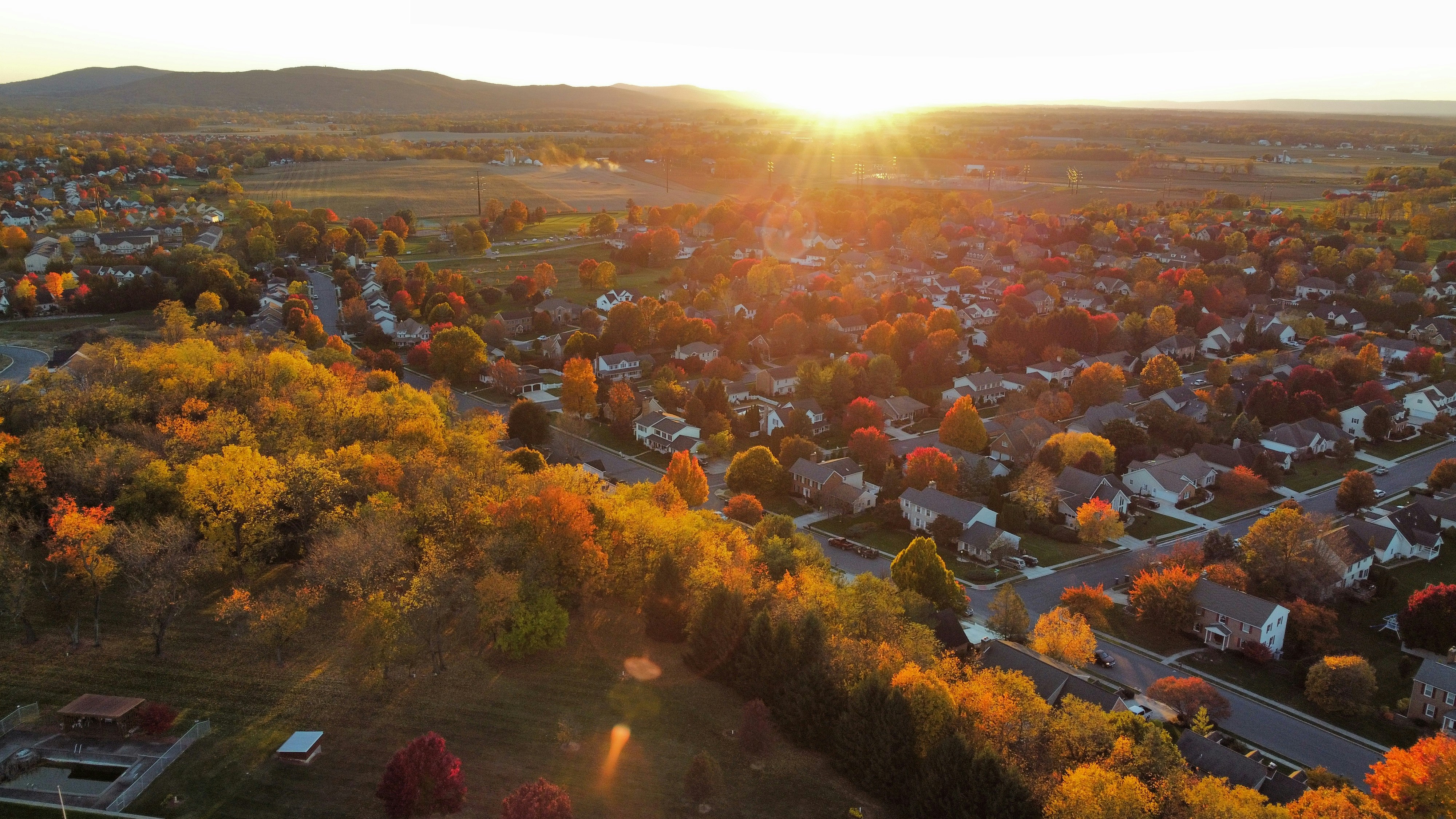 a landscape with trees and houses