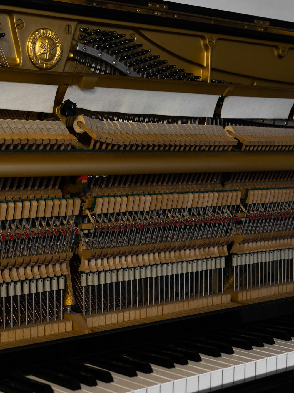 a large organ with pipes