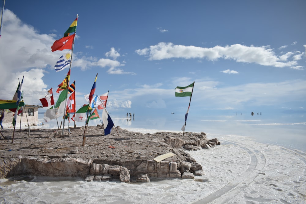 a group of flags on a beach
