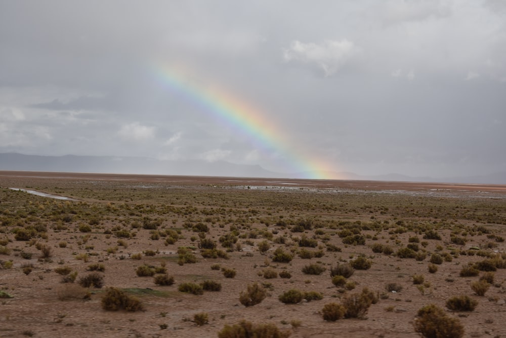 a rainbow over a desert