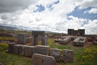Historic ruins at an excavation site in Swat, surrounded by wildflowers and tall grass.