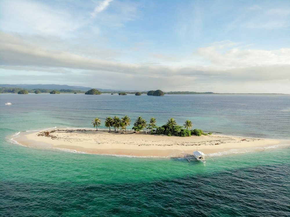 a small island with trees