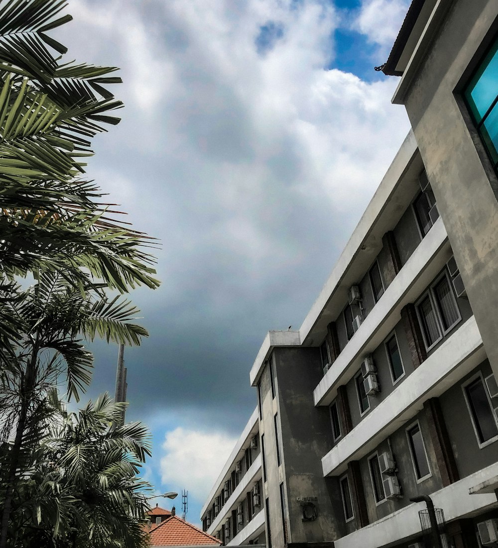 a building with a palm tree in front of it