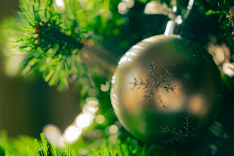 a close-up of a tree