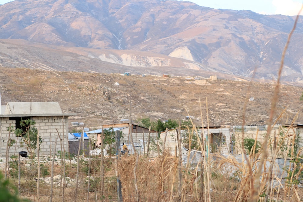 a group of buildings in a valley