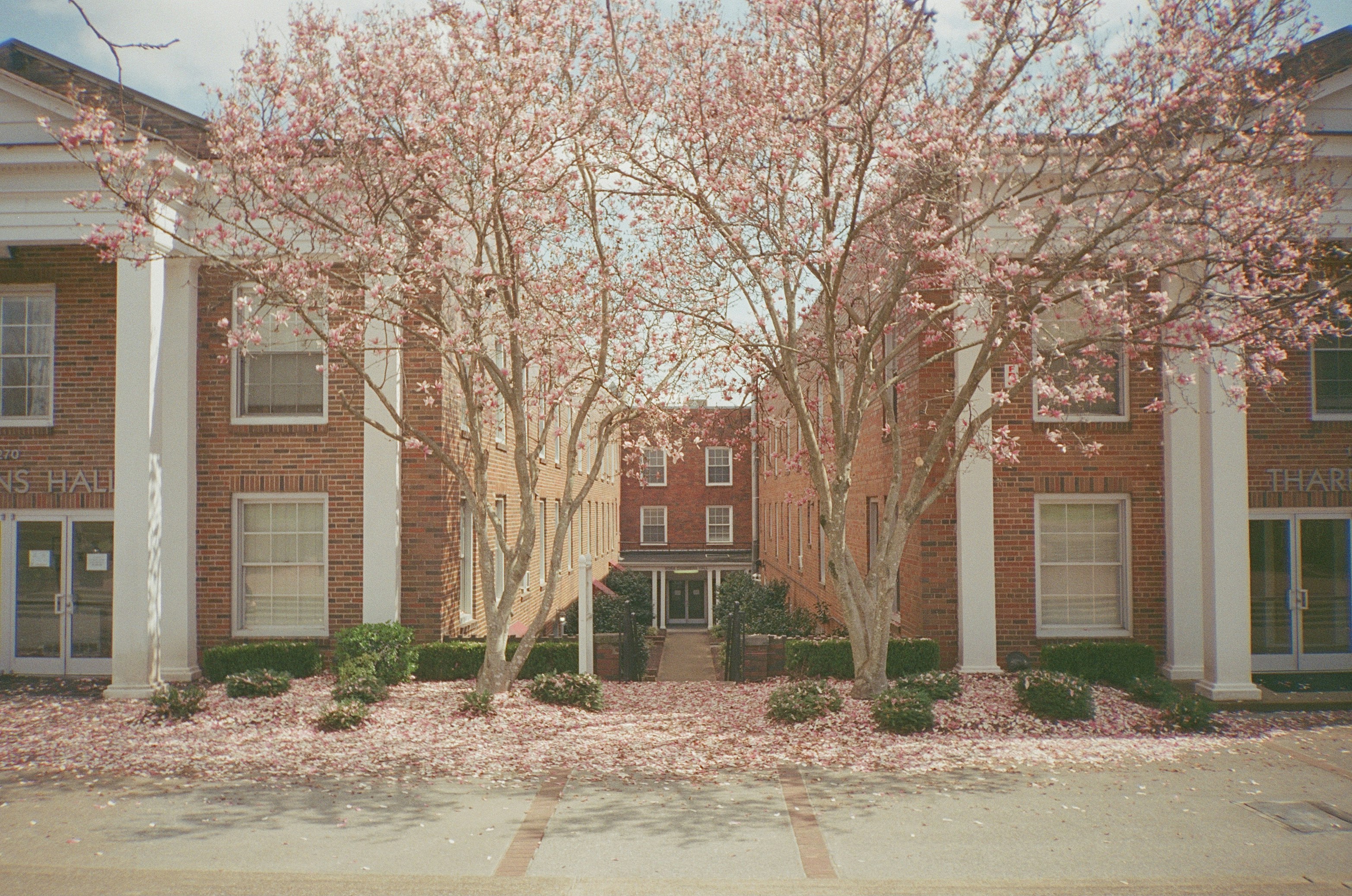 Photo by codymanning22